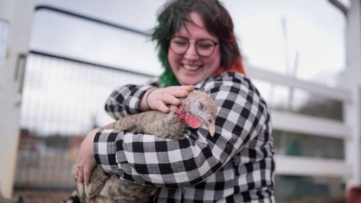 At The Gentle Barn, turkeys are for snuggling, not stuffing at Thanksgiving