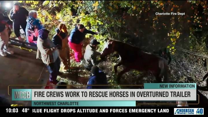 Fire crews work to rescue horses in overturned trailer