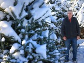 Alberta Christmas tree lots starting to open, expect to sell out