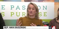 Congresswoman Budzinski discusses spike in ICE activity in Illinois