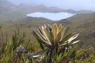 Alcaldes y personeros del área de influencia del Páramo de Pisba se reunirán en la sede del Ministerio de Ambiente