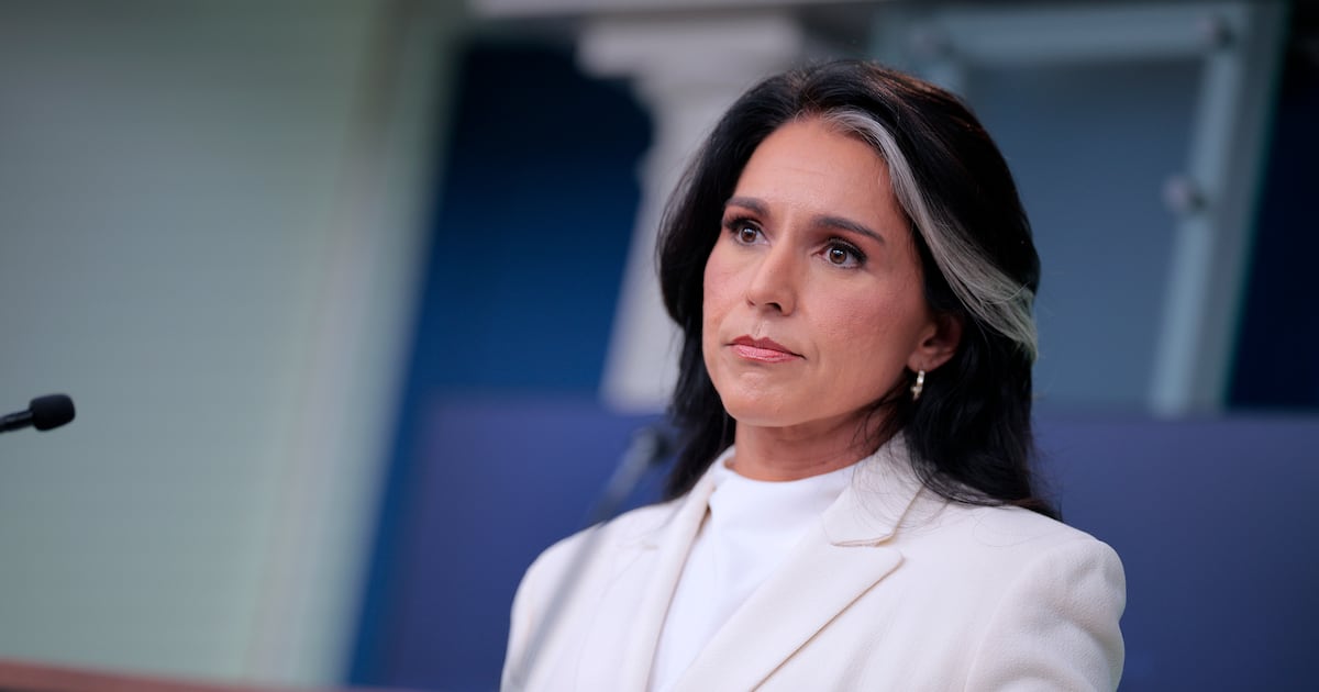 Tulsi Gabbard Goons’ Chaotic Hunt for Secret CIA Files Exposed