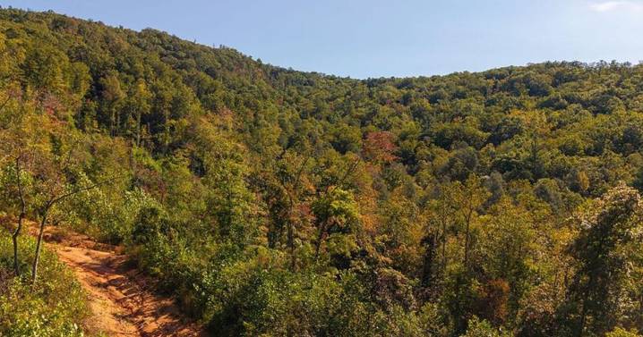 More than 830 acres south of Blue Ridge Parkway bought to be protected in McDowell County