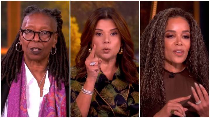 'The View' Hosts Snap Over Democrats' Shutdown Vote: 'Shame'
