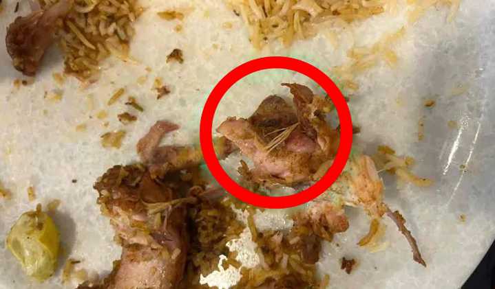 Chicken Feathers in Found Biryani, Food Safety Raid Uncovers Rotten Meat at 4 Chillies Near OU