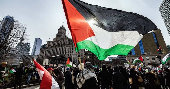 Toronto City Hall raises Palestinian flag, joining other cities across Canada