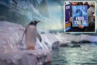 Penguins 'trapped' at Sea Life London Aquarium deprived of ecological, physiological needs: lawyers