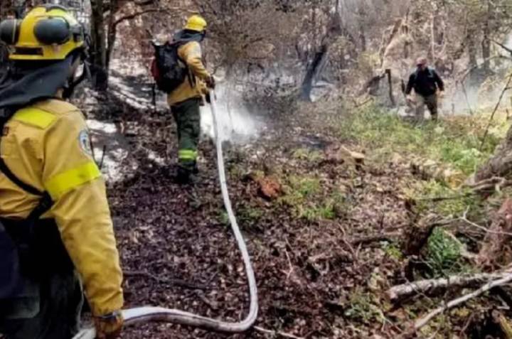 Río Negro declaró la Emergencia Ígnea por un año ante el alto riesgo de incendios
