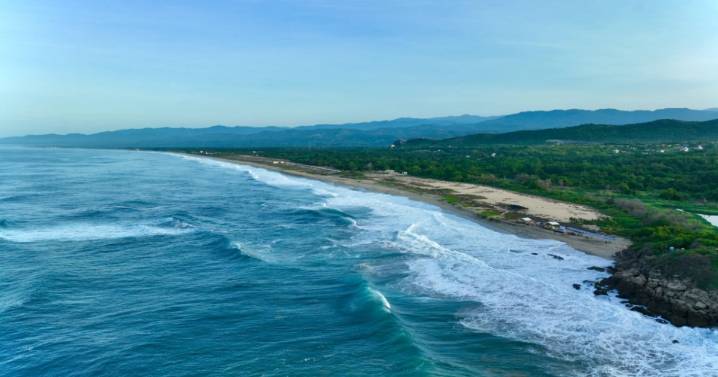 Acusan al Gobierno de Oaxaca de ecociodio en reserva ecológica "Punta Colorada"