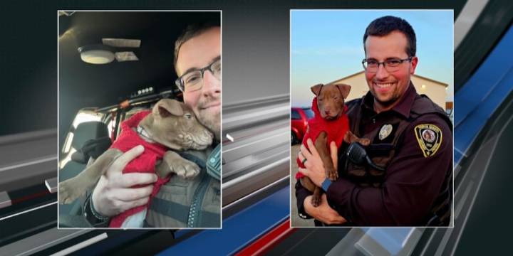 North Dakota Highway Patrol trooper rescues puppy from crash scene