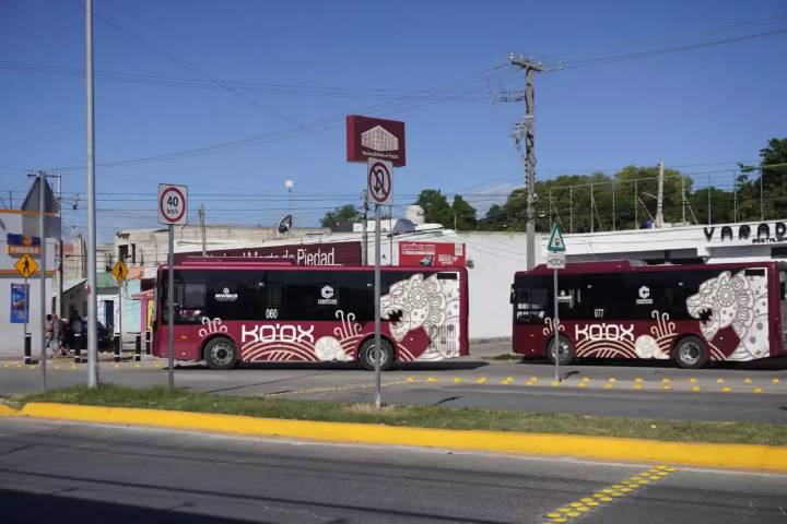 Eliminan el transbordo de algunas rutas del sistema de transporte público Ko’ox en Campeche
