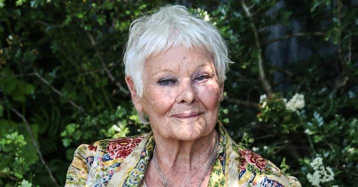 Judi Dench, 90, Shares Devastating Update on Degenerative Eye Condition