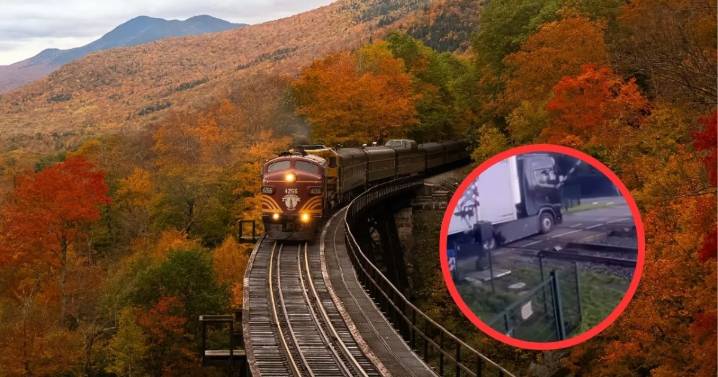 VIDEO: ¡Jugo al instante! Tráiler con peras protagoniza choque con tren en Países Bajos