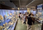 El Museo Marítimo de Asturias aspira a «duplicar» los 20.000 visitantes al año