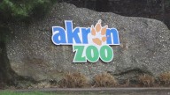 The Akron Zoo is closed Wednesday: Here's why