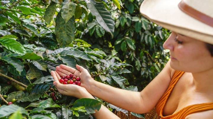 A una hora de Ibagué. El pueblo rodeado de piscinas naturales, perfecto para el ecoturismo