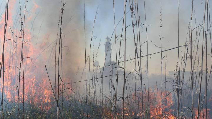 Fire burns five acres of beach on Tybee Island