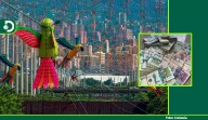 Medellín proyecta una derrama económica de $542,2 mil millones durante la temporada de fin de año