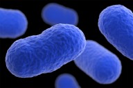 At least 27 people sickened and 6 dead in latest US listeria outbreak. What you should know