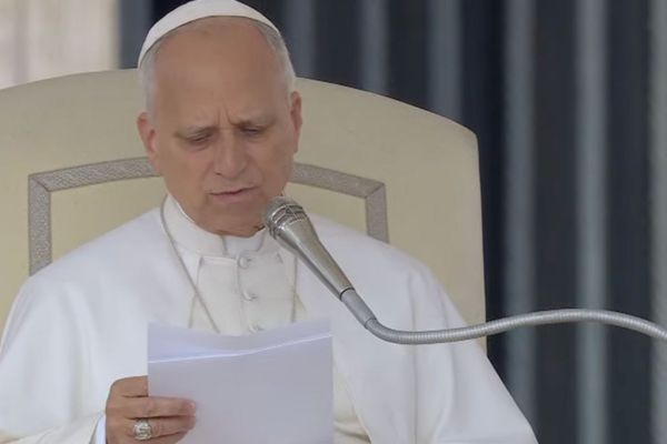 El Papa en la catequesis: La fraternidad no es un hermoso sueño imposible