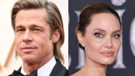 Brad Pitt Sues Ex-Wife Angelina Jolie Over Sale Of French Winery; Deets Inside