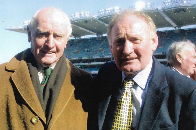 Alfie Hale: How getting the nod from ‘The Big Five’ led to a memorable journey in the green jersey