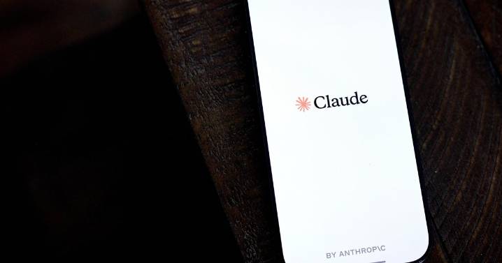 Anthropic says Chinese hackers used its Claude AI chatbot in cyberattacks