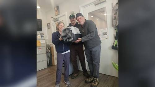 NJ family from Montclair reunites with cat missing for 10 years