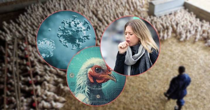 Instituto Pasteur de Francia advierte que pandemia de gripe aviar H5 podría ser más grave que el COVID