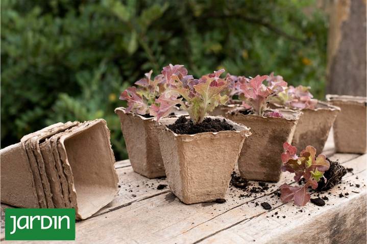 Cero plástico. Macetas, tutores y sustratos que podés cambiar para plantar sin contaminar