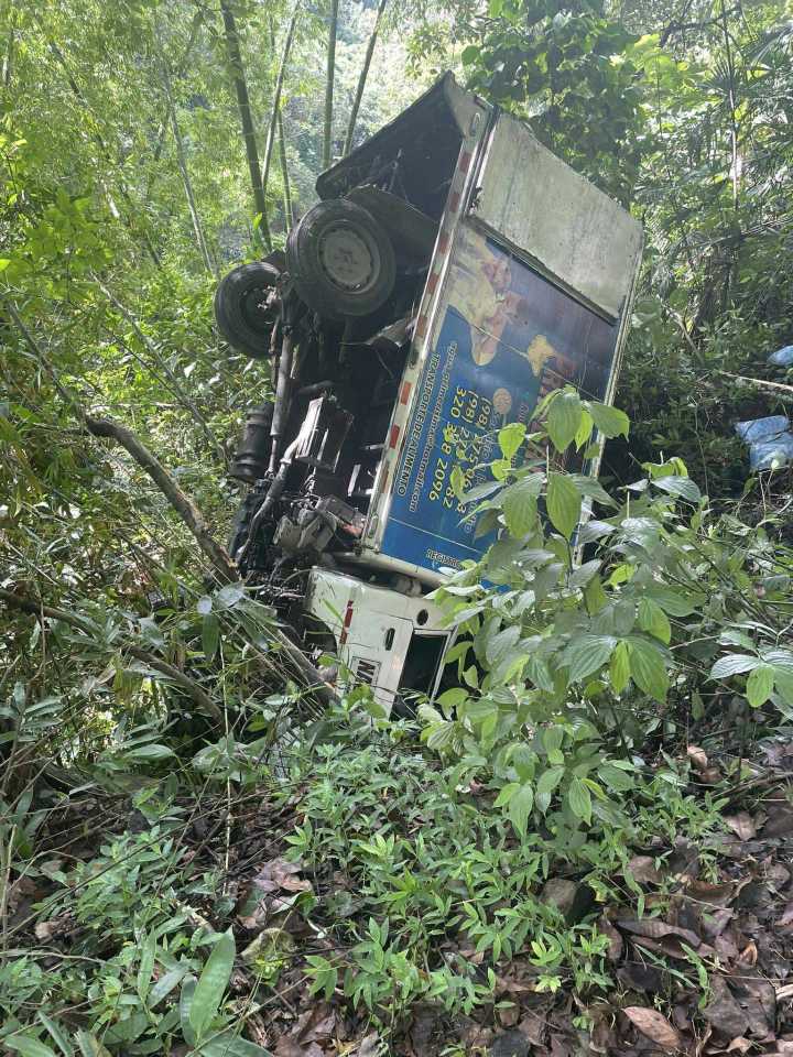 TURBO SIN FRENOS CAYÓ AL ABISMO