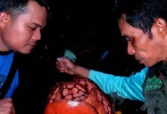 Biólogo llora al encontrar la flor más rara del mundo