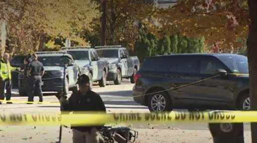 7NEWS Sources: Police investigating deadly crash in Belmont