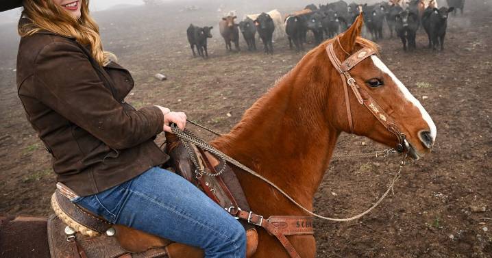 Trump’s Argentina beef buy riles local ranchers: ‘We are bearing our souls to the market and hoping everything works out’