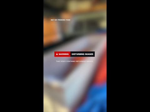 Woman found alive inside coffin