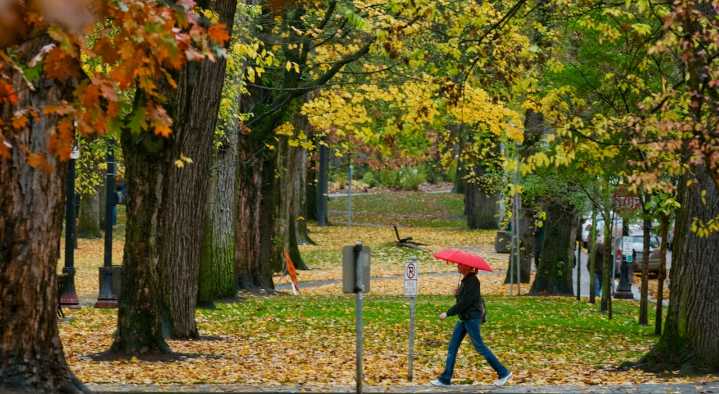 Slight break in the rain early Tuesday. Portland sees next front arrive mid afternoon