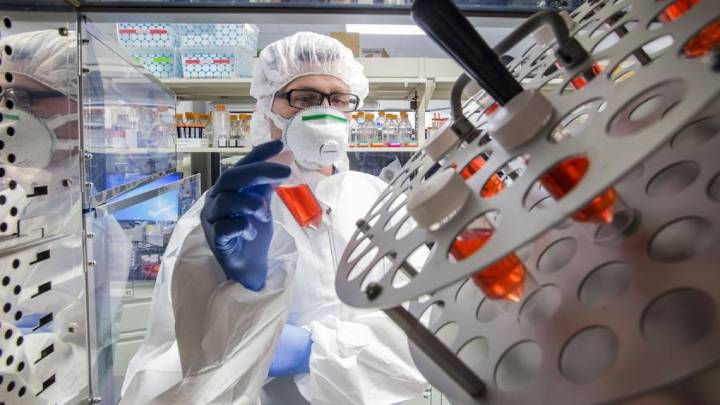 Charles River Laboratories gets all-clear in monkey smuggling probe – NBC Boston