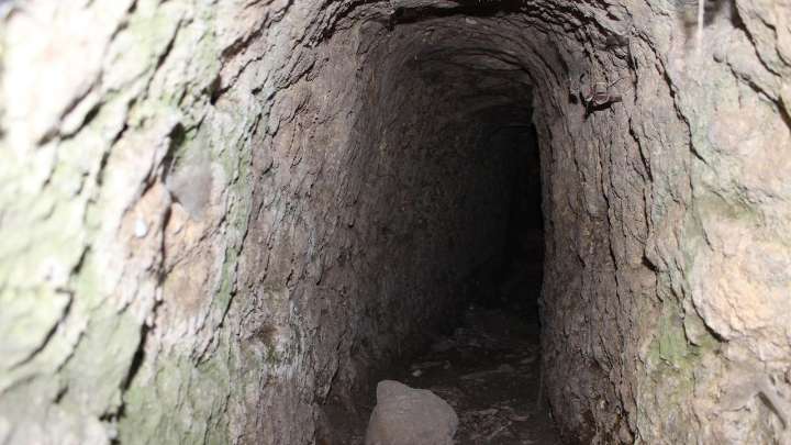 La 'Capilla Sixtina de la Edad de Hielo': así es el arte de 12.000 años que reescribe la historia