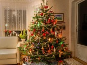 ¿Cómo decorar tu árbol de Navidad este 2025? Estos son los colores en tendencia