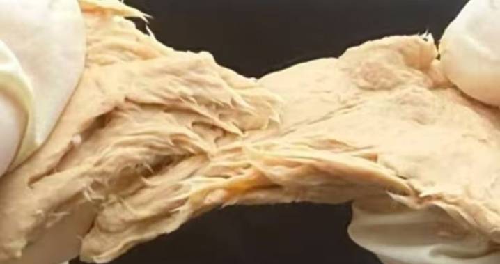 El hongo con sabor a carne que contamina mucho menos: promete ser la proteína del futuro