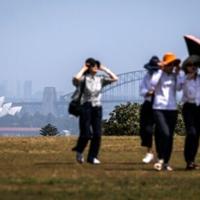 Australia's opposition ditches commitment to net zero emissions