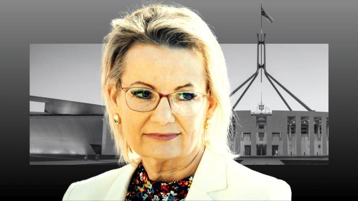 Liberals' net zero infighting, political own goals leave Sussan Ley’s leadership hanging by a thread as ‘killing season’ begins