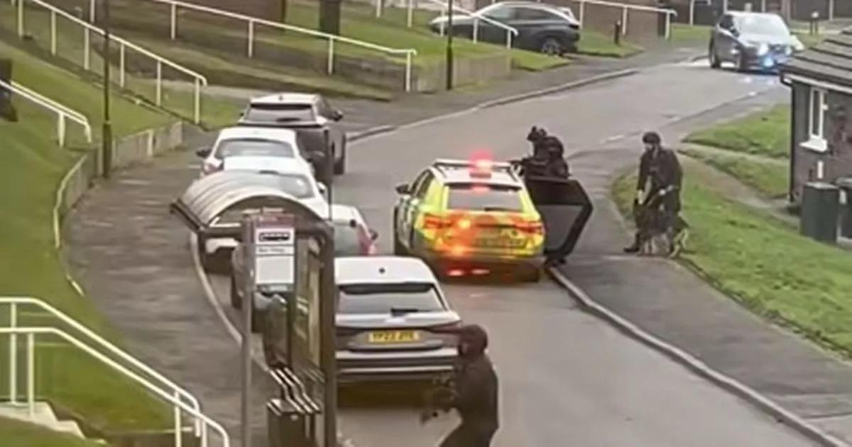 Four arrested after corner store robbery involving gun and knife