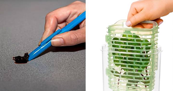 55 Weird Things Under $20 That Work So Well, Reviewers Say They Deserve 6 Stars