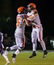 Almont marches into Division 6 Final Four with rout of Detroit Edison