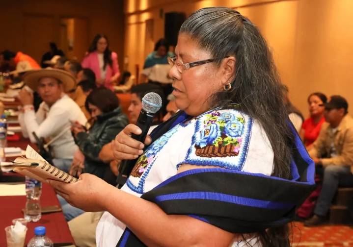 Más de 40 comunidades indígenas participaron en la consulta para el Plan Michoacán