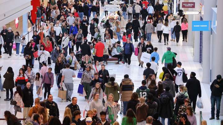 Shoppers spend billions on Black Friday to snag holiday deals