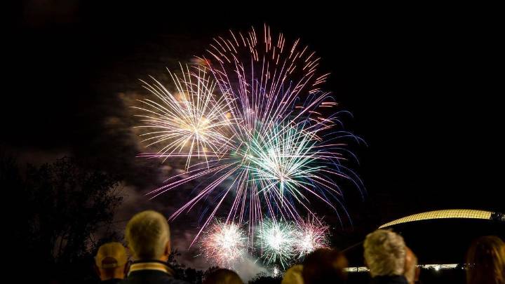 Alertan de los graves daños que los fuegos artificiales provocan en las aves urbanas