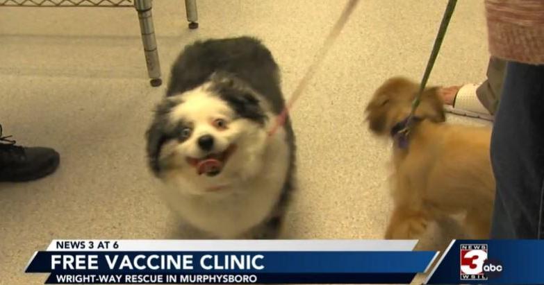 Free Vaccine Clinic Helps Local Pet Owners Keep Their Animals Healthy