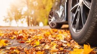 Fall driving hazards: Wet leaves and sun glare require extra caution
